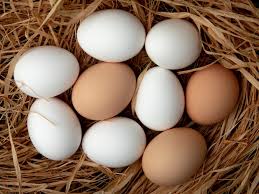 Eggs view 2
