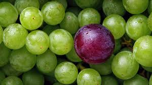 Grapes view 4