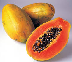 Papaya view 2