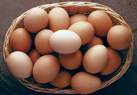 Eggs view 3