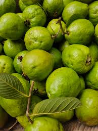 Guava view 3