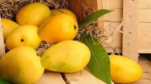Mango view 3